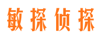 开平市侦探公司